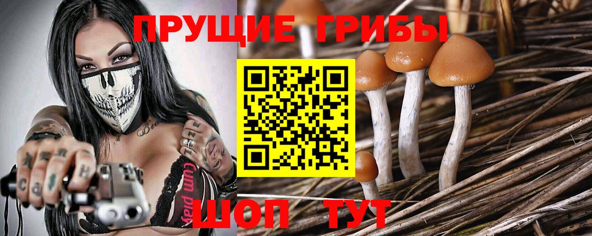 Псилоцибиновые грибы Magic Shrooms  Вход с VPN  Белогорск 